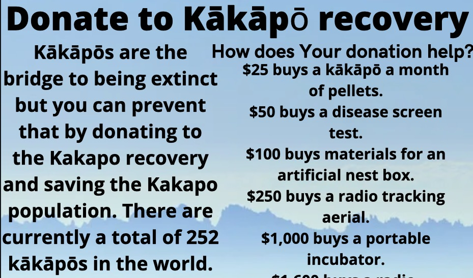 Donate to Kākāpо̄ recovery