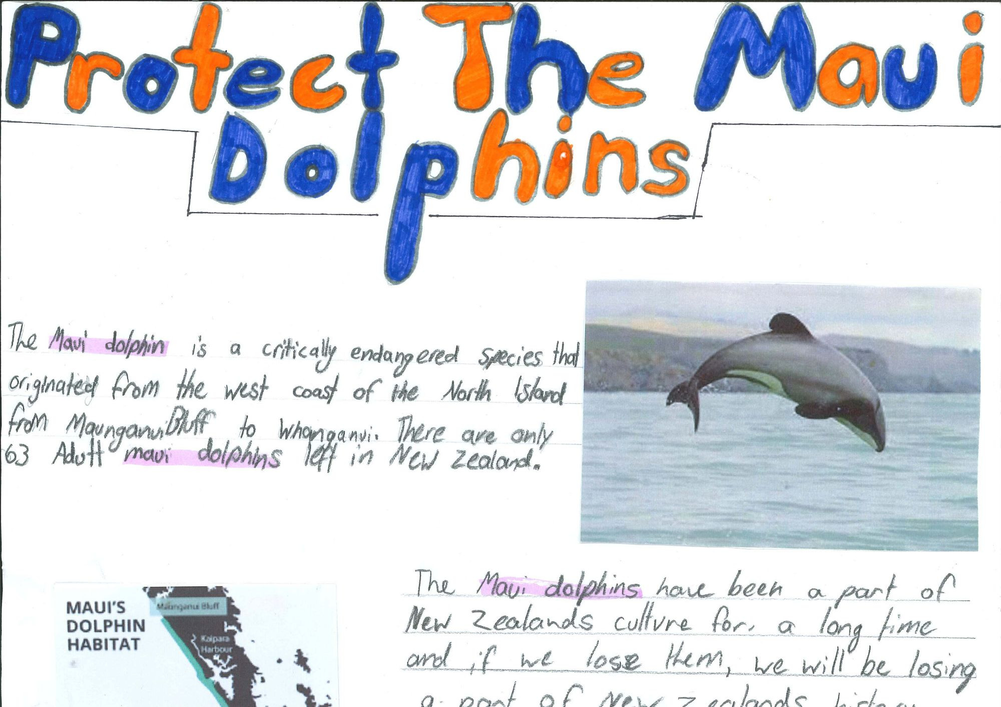 Protect The Maui Dolphins