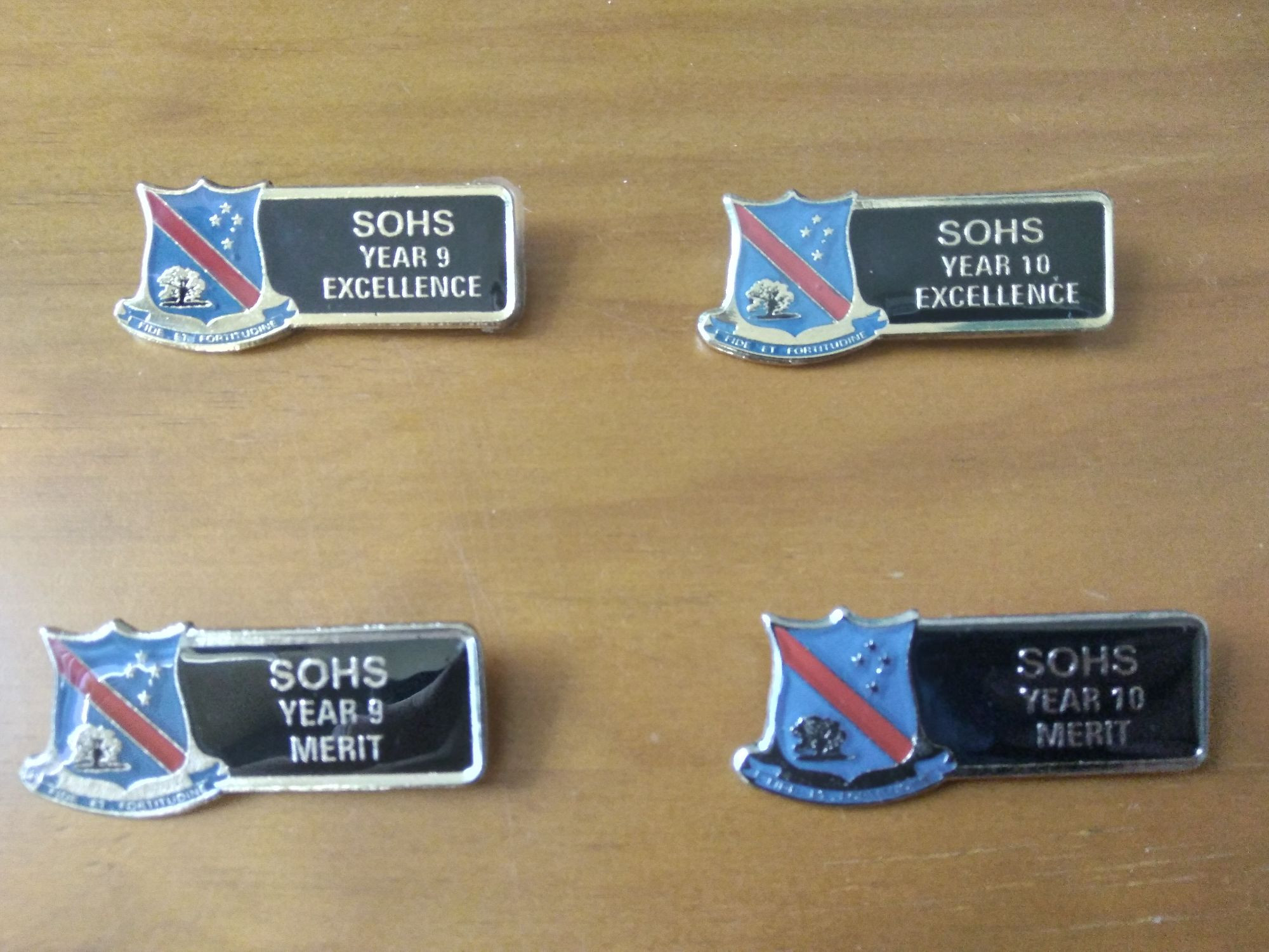 Merit and Excellence Badges