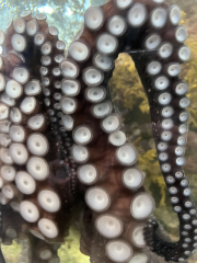 Biology Trip