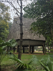 Vietnam Trip
